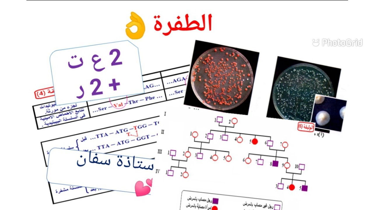 شرح للطفرة الوراثية ❤👌 #العلوم_بكل_سهولة