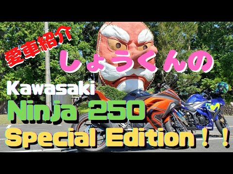 カワサキ　ニンジャ250Special Editio Ninja 250スペシャル・エディションがカラー&グラフィック変更で2014年