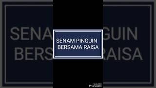 Pinguin rachel raisa