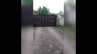 Country Road Creature Read Description