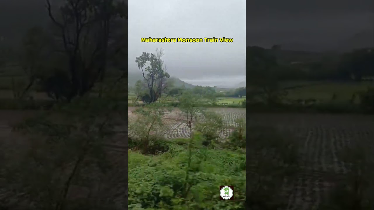 Heaven on Earth! 🌧️🏔️ Maharashtra Monsoon Train View #shorts #monsoon