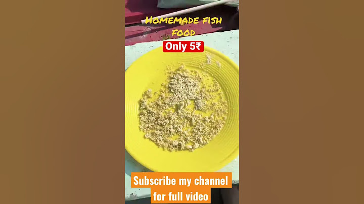 Homemade fish food #shorts