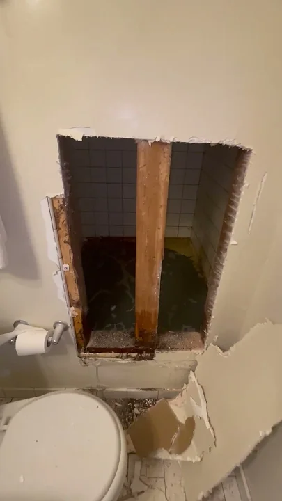 Hidden Shower Found Behind Leaking Bathroom Wall || ViralHog