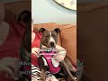 Abandoned Momma Arrived Home