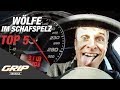 Wölfe im Schafspelz - TOP 5 | GRIP Originals