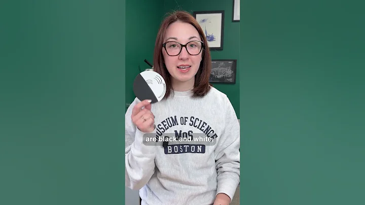 Spinning Illusion That Fools Your Brain