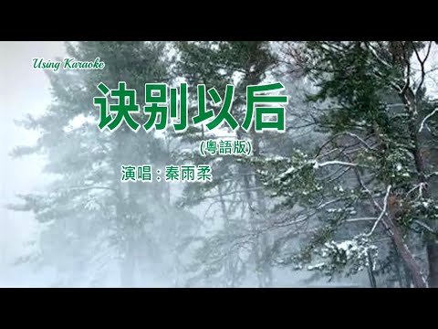 訣別以后 (粵語版) 秦雨柔-主唱 KARAOKE