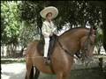 POR AQUI PASÓ - Miguel Angel Devia