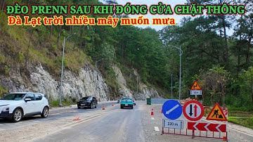 ĐÈO PRENN SAU KHI ĐÓNG CỬA CHẶT CÂY. ĐÀ LẠT TRỜI NHIỀU MÂY MUỐN MƯA