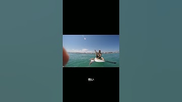 Giant Squid Attacks Surf Board #shorts