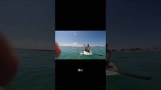 Giant Squid Attacks Surf Board #shorts Profile