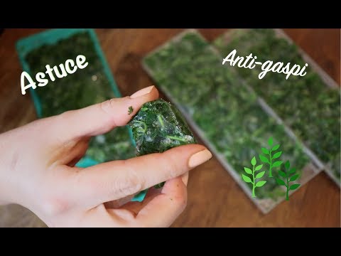Vidéo: Herbes à glaçons : comment congeler des herbes fraîches dans des bacs à glaçons