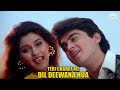 Teri Chahat Mein Dil | The Don (1995) | Sonali Bendre, Jugal Hansraj | Kumar Sanu Hits