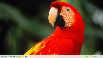 Clase N°11 Introducción Python A | BCI Familias 2 | 24-11-25