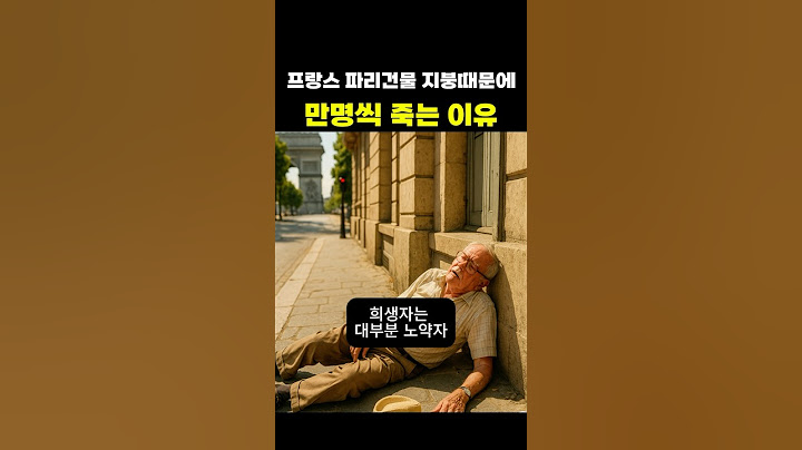 프랑스 파리 건물 지붕때문에 만명씩 죽는 이유