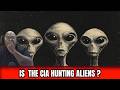 They Are Hunting Fallen Angels
