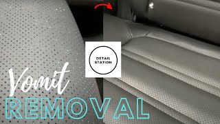 Cleaning Vomit From Perforated Leather Car Seats