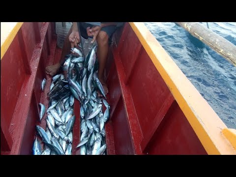 Video: Mga Sulok Sa Kusina Na Gawa Sa Solidong Kahoy: Mga Sulok Na Gawa Sa Pine At Iba Pang Mga Species, Walang Mesa At May Tapiserya Ng Tapiserya, Slotted, Na May Mga Armrest At Iba Pang