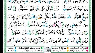 سورة الطلاق مكتوبة / حمزة الجزائري