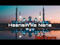 Hasnain Ke Nana || Sahil Gaurve|| Milad Raza Qadri #eidemiladstatus #12rabiulawal #lyrical