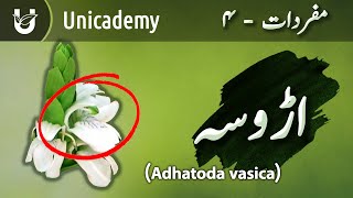 Adusa (Adhatoda vasica) | Adusa screenshot 4