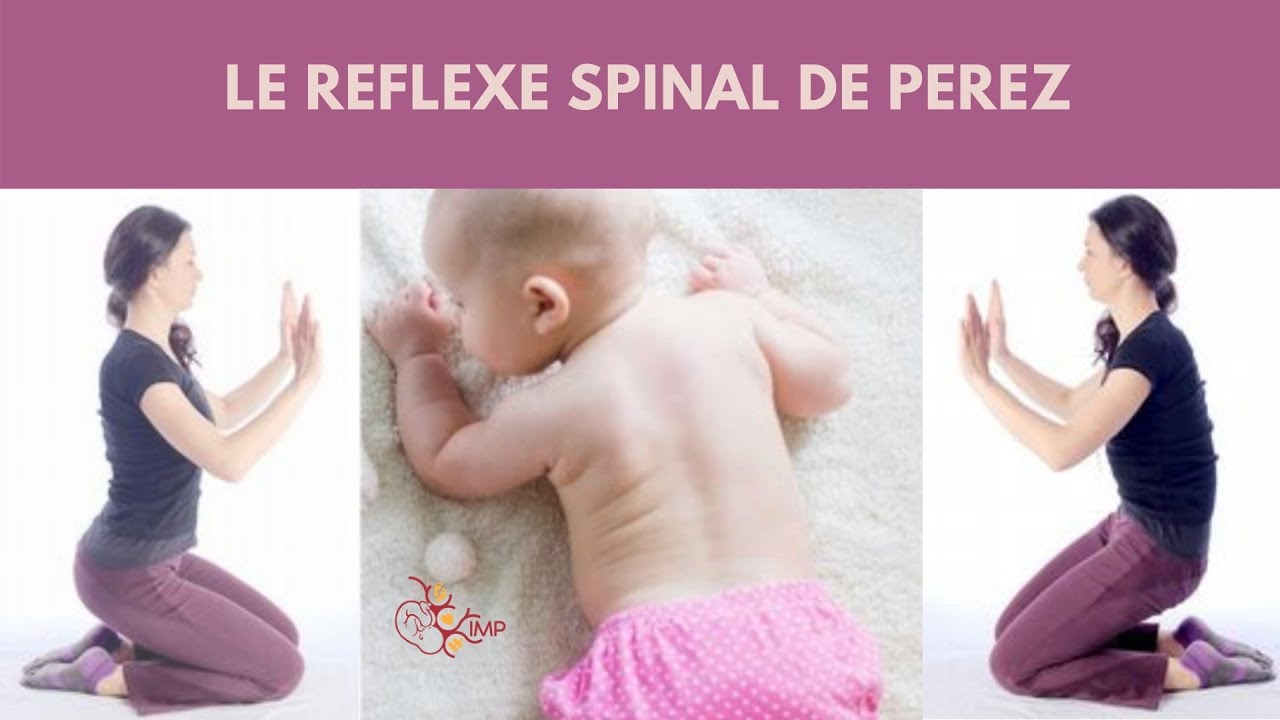 Le réflexe spinal de Pérez - Intégration Motrice Primordiale (IMP)