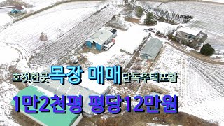 넓은 목장매매, 넓은땅 매매