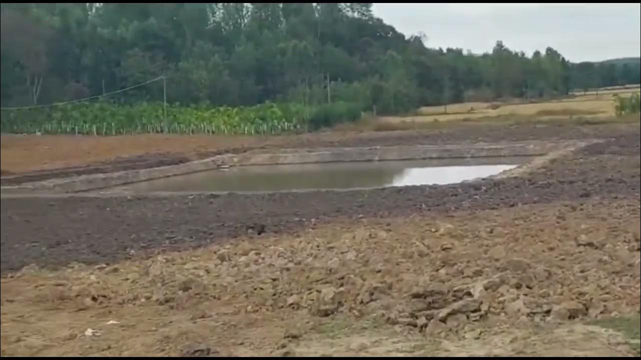 8 Acre Agri Land For Sale In Alur Hassan land farm hassan YouTube 8-acre-agri-land-for-sale-in-alur-hassan-land-farm-hassan-youtube