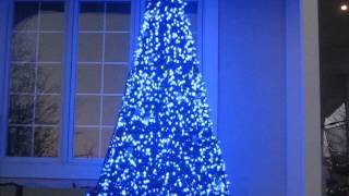 MINI MEGA TREE '13 001