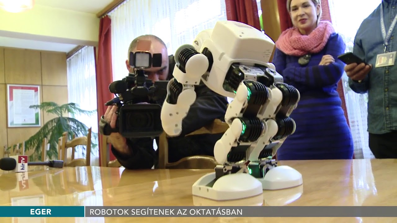 robotok amelyek segítenek keresni