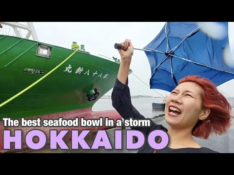 KUSHIRO・HOKKAIDO🇯🇵 Explore Kushiro Town in a storm!!  Japan Travel Vlog