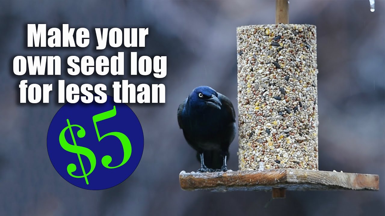 Make a Seed Log CHEAP AND EASY for less than FIVE DOLLARS