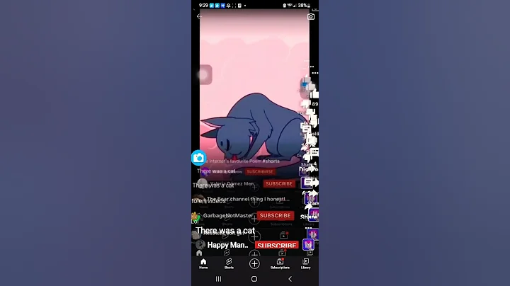 there was a cat