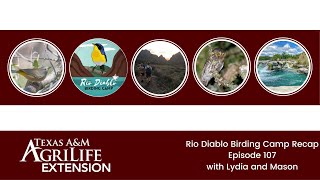 Rio Diablo Birding Camp Recap - Cup Chat 107