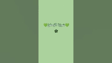 #quran #اكسبلور #تلاوة_هادئة #تلاوة_خاشعة #قرآن #ارح_سمعك #سورة_الرحمن #quran #قران_كريم #تلاوة_ها