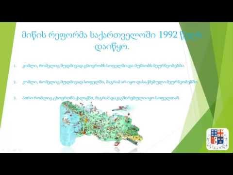 ბორის კაპანაძე, მიწის რეფორმისა და მორატორიუმის მიმოხილვა