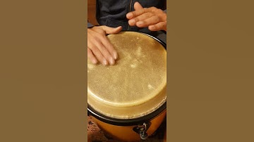 WARM UP / TRY IT/ CONGAS/ EXERCISE/ PHRASE