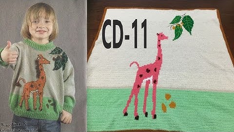 Jacquard Design JD 11 Create By Hqpds Program Easy Fashion Help line Pro