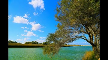 سورة الفاتحة بصوت القارئ طارق عبدالغني دعوب
