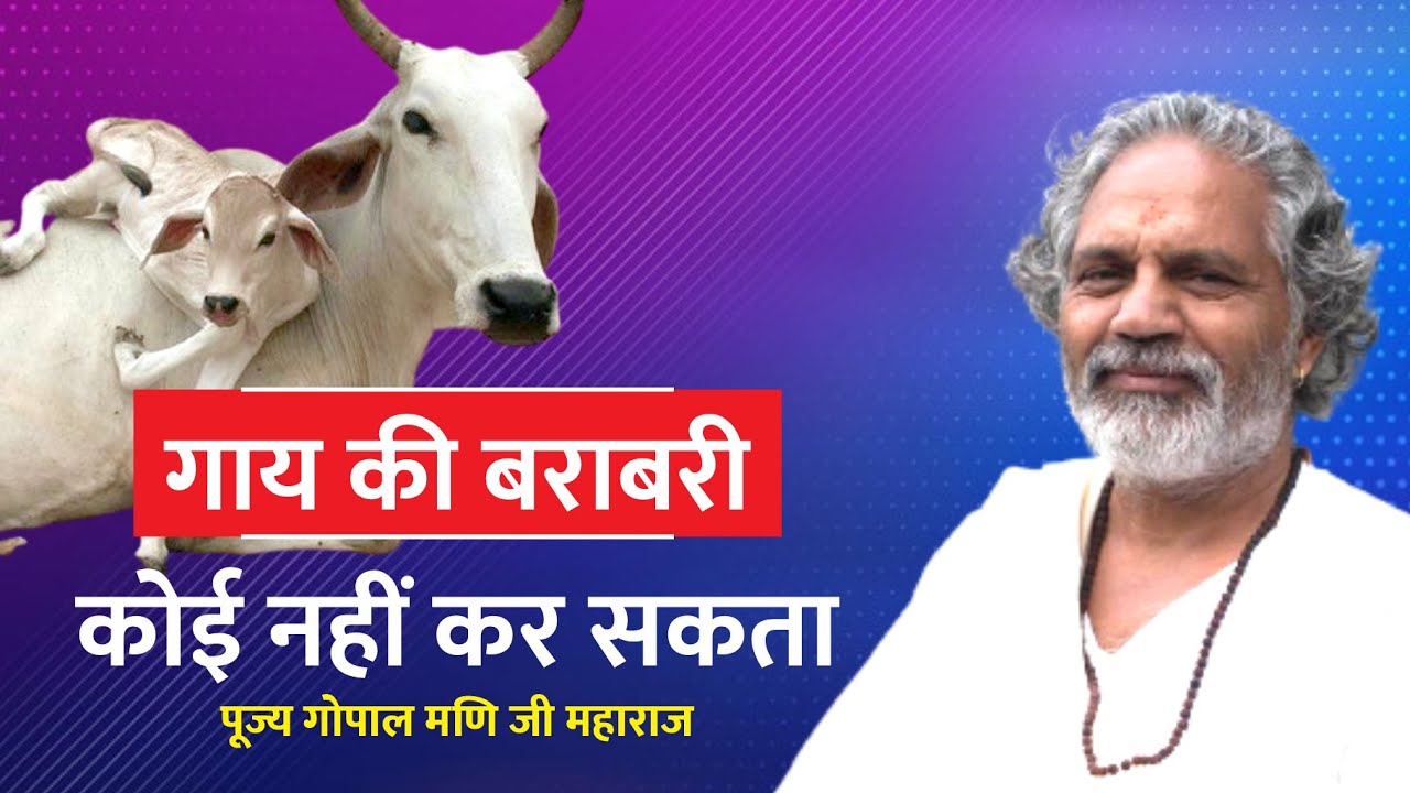 Gaay Ki Barabri Koi Nahi Kar Sakta "गाय की बराबरी कोई नहीं कर सकता !! By Gopal Mani Maharaj Ji