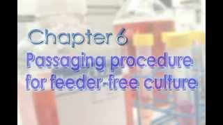 Chapter 6 Passaging procedure for feeder free culture