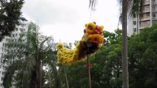 MPEG4 test video