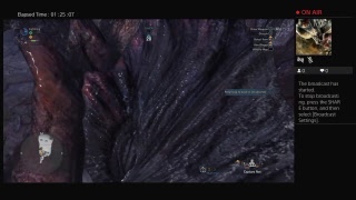 Raikami's Live PS4 Broadcast