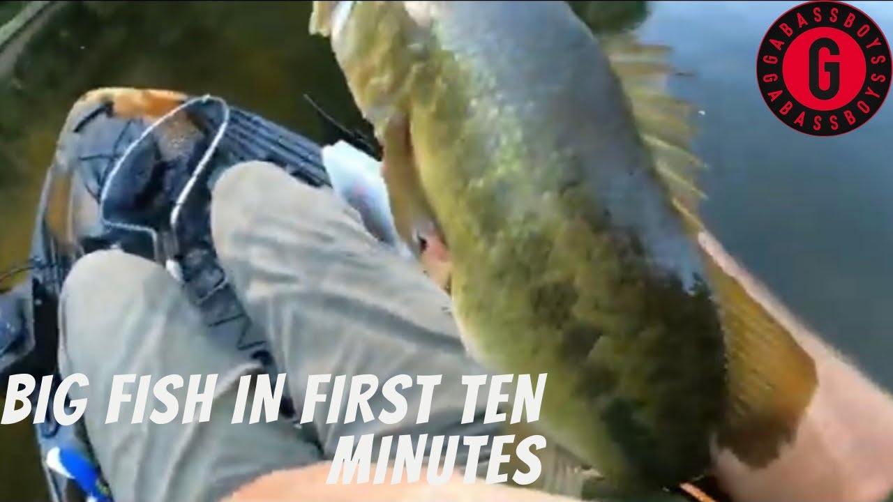 Early summer Bass fishing: This is a good one