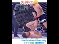 エグいKO😳 8戦8勝8KO シャリフ🇺🇿66Kg