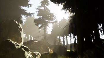 Realistic forest scene in unreal engine #ue5  #forest