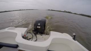 Suzuki 90 hp 2016 - Regnicoli Dorado 160 Open Regnicoli 510 Open Suzuki 90 Hp 2017