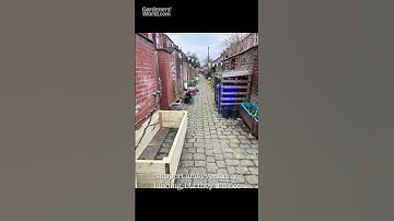 How to start a community garden