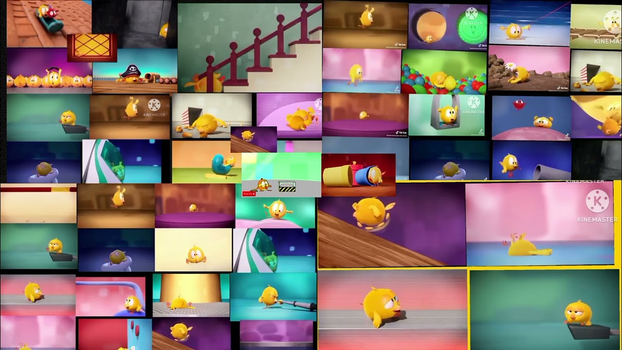 all 55 where's chicky #55 episodes once