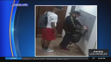 Caught on Camera: man makes way into apartment building, steals things from mail box